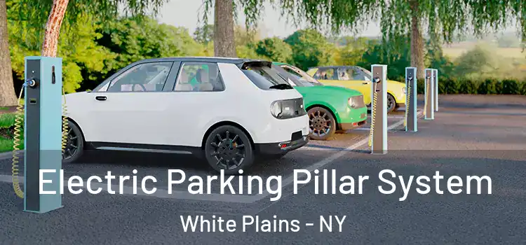 Electric Parking Pillar System White Plains - NY