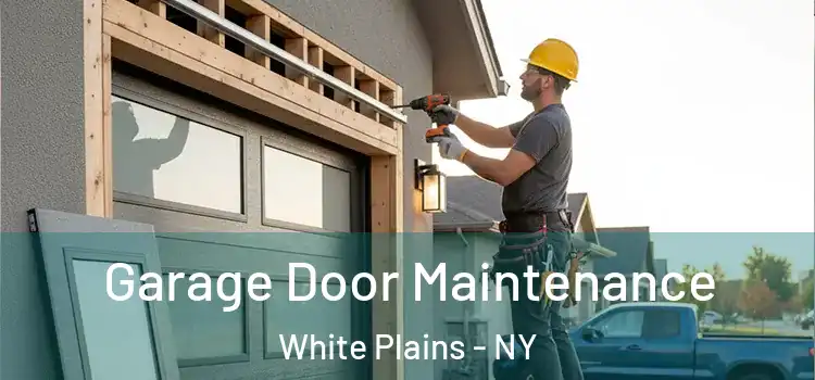 Garage Door Maintenance White Plains - NY