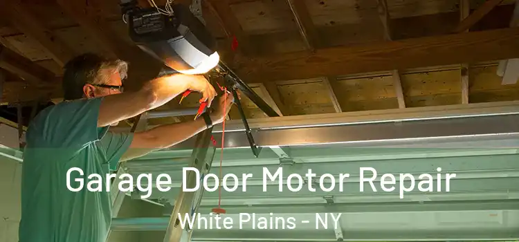  Garage Door Motor Repair White Plains - NY