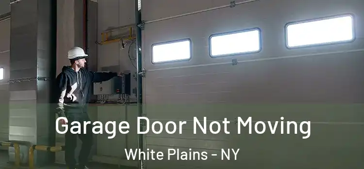  Garage Door Not Moving White Plains - NY