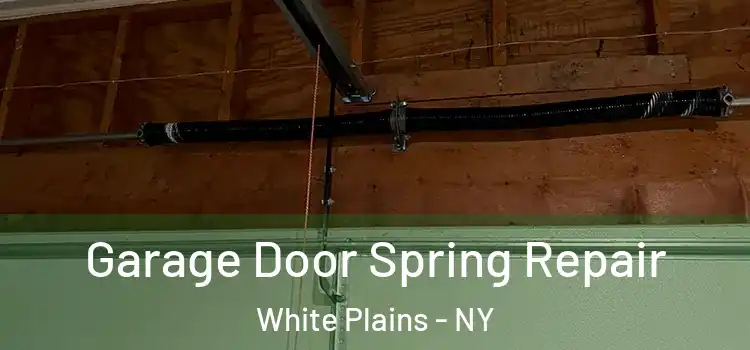  Garage Door Spring Repair White Plains - NY