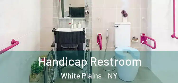Handicap Restroom White Plains - NY