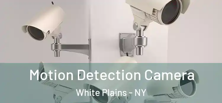  Motion Detection Camera White Plains - NY