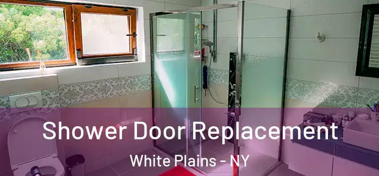 Shower Door Replacement White Plains - NY